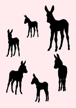 Donkeys animal gesture silhouette.Good use for symbol, logo, web icon, mascot, sign, or any design you want.
