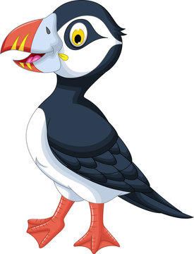 Atlantic Puffin Cartoon Posing