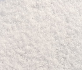 fresh snow