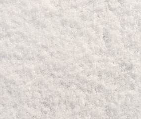 fresh snow