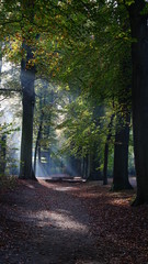 Fototapeta premium In a park in Antwerp