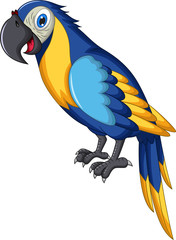 cute parrot cartoon