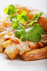 Banh mi sandwich with pork