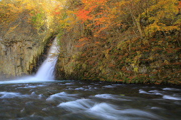 秋田県鹿角市　紅葉の銚子の滝