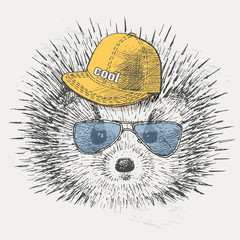 cute hedgehog in the hat and sunglasses