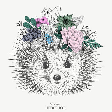 Cute Hedgehog With A Wreath On Her Head Of Flowers