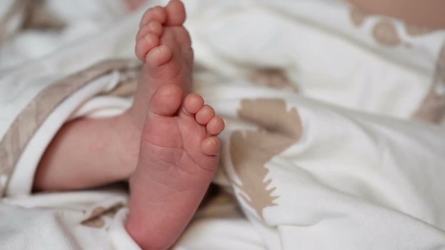 A newborn's baby feet. Maternity