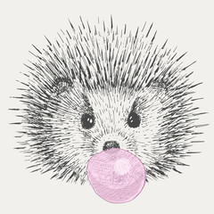 cute hedgehog puffed out chewing gum