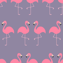 Flamingo Seamless Pattern Exotic tropical bird. Zoo animal collection. Cute cartoon character. Decoration element. Violet background. Flat design.