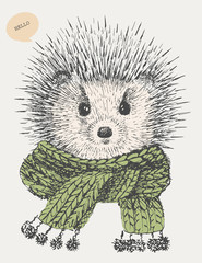 cute hedgehog with scarf