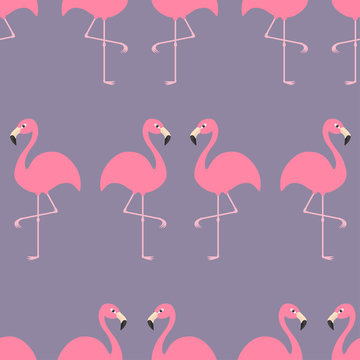 Flamingo Seamless Pattern Exotic tropical bird. Zoo animal collection. Cute cartoon character. Decoration element. Violet background. Flat design.
