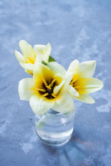 flower a tulip on a table, selective focus