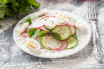 fresh vegetables salad - a garden radish and a cucumber in a plate on a table, selective focus