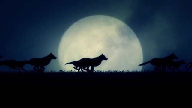 A Pack of Wolves Running in a Rising Full Moon Background