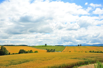 Countryside Landscape of Japan
