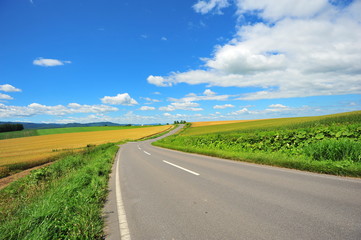 Fototapeta na wymiar Countryside Landscape of Japan