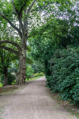 Path in park
