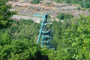 Curioso castillerte mimetizado con el color del bosque circundante