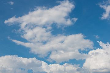 Fototapeta premium blue sky with cloud.