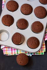 chocolate muffins