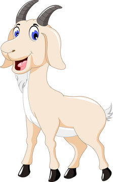 cute goat cartoon for you design
