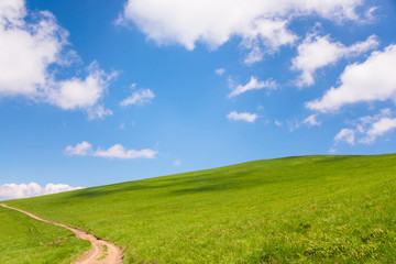 idyllic landscape of green heels, blue sky in Carpathian mountains