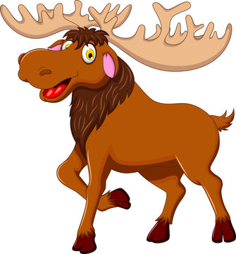 cute moose cartoon for you design