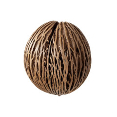 Cerbera oddloam's seed, Pong pong seed