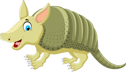 funny armadillo cartoon posing