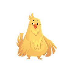 Cute and funny fat, chubby chicken, cartoon vector illustration isolated on white background. Overweight chubby chicken, fatty pet