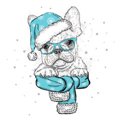 French bulldog in a Christmas hat and sunglasses. Vector illustration for a card or poster. Print on clothes. Cute puppy. Pedigree dog. Winter holidays. New Year's and Christmas.