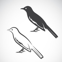 Vector of magpie design on white background. Bird Icon.