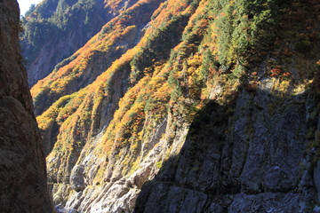 黒部渓谷下ノ廊下の紅葉と登山者
