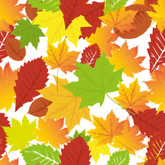Autumn pattern. Foliage. Vector