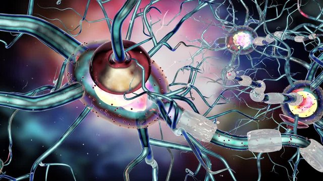 Nerve cells, concept for neurodegenerative and neurological disease, tumors, brain surgery. 