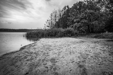 lake in the forest in autumn