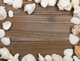 Seashell frame on brown wooden boards