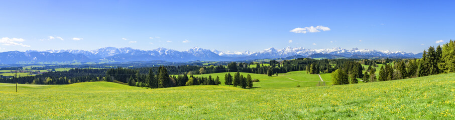 Naklejka premium Frühling im Alpenvorland