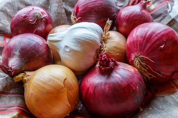 Onions and garlic head