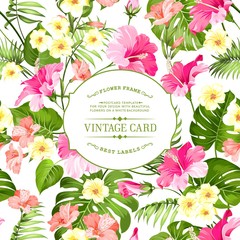 Tropical flowers label for vintage card. Yellow plumeria with text label isolated over white background. Vector illustration.