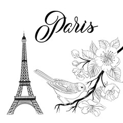 Fototapeta na wymiar Bird sitting on a brunch with eiffel tower isolated over white background. Vector illustration.
