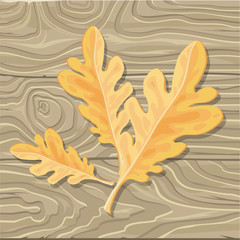 Oak leaf on Wooden Background Vector Illustration