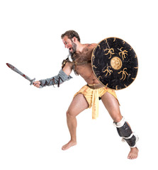 Obraz na płótnie Canvas Gladiator