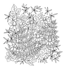 Hand drawn flowers on white background