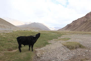 Pamir region Russian Federation Central Asia mountain landscapes