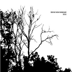 Silhouette of tree branches with birds on it isolated on white background. Natural abstract monochrome backdrop. Vector illustration