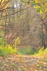 Autumn Park