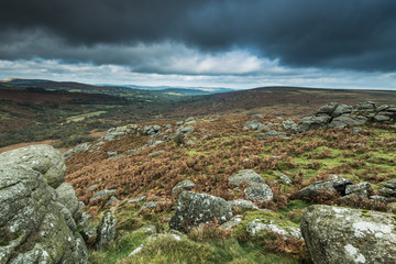 wilderness and overcast British weather