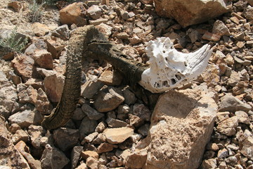 Pamir region Russian Federation Central Asia mountain landscapes