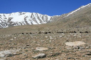 Pamir region Russian Federation Central Asia mountain landscapes